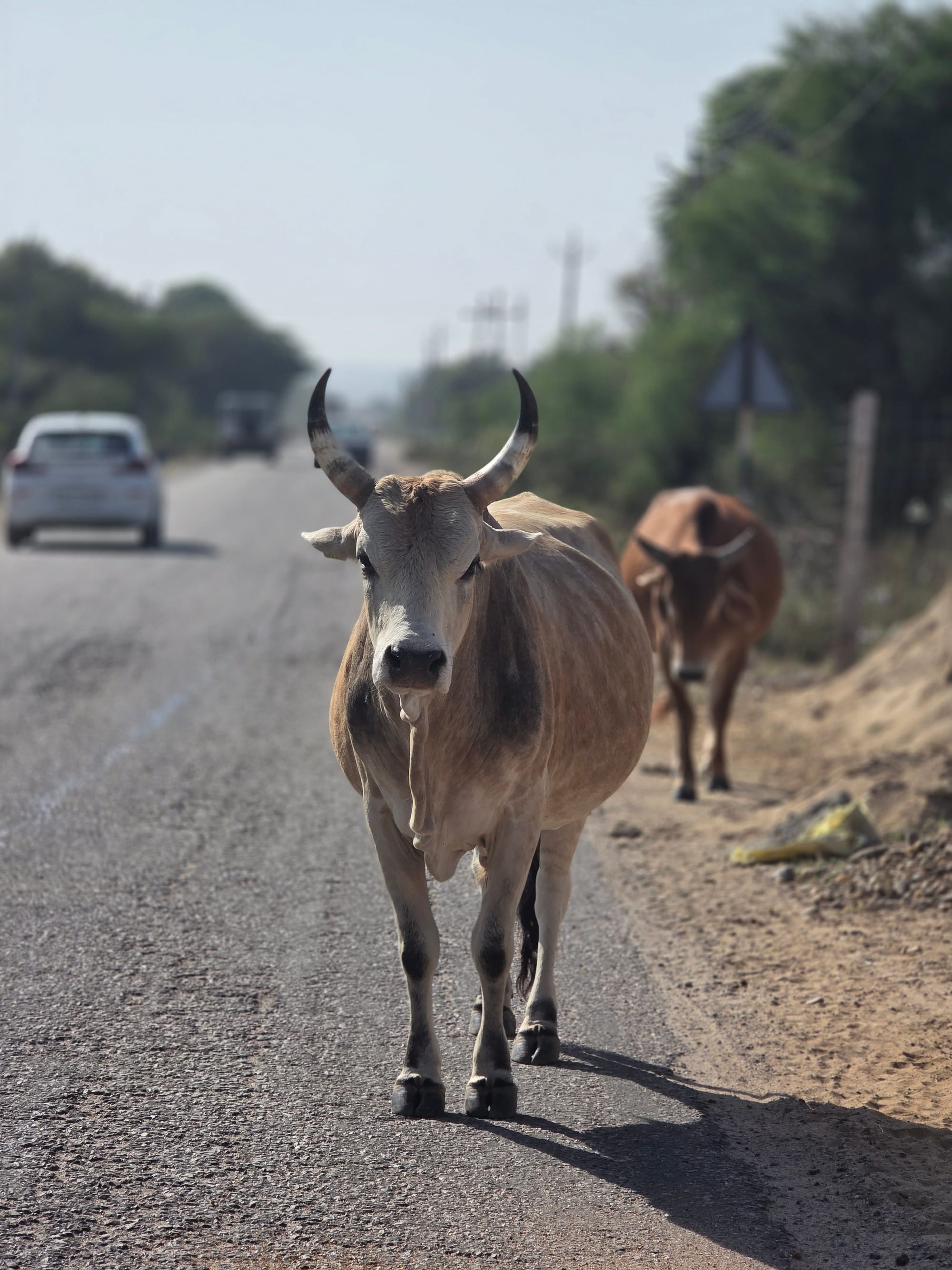 Day 56 - The First Puncture