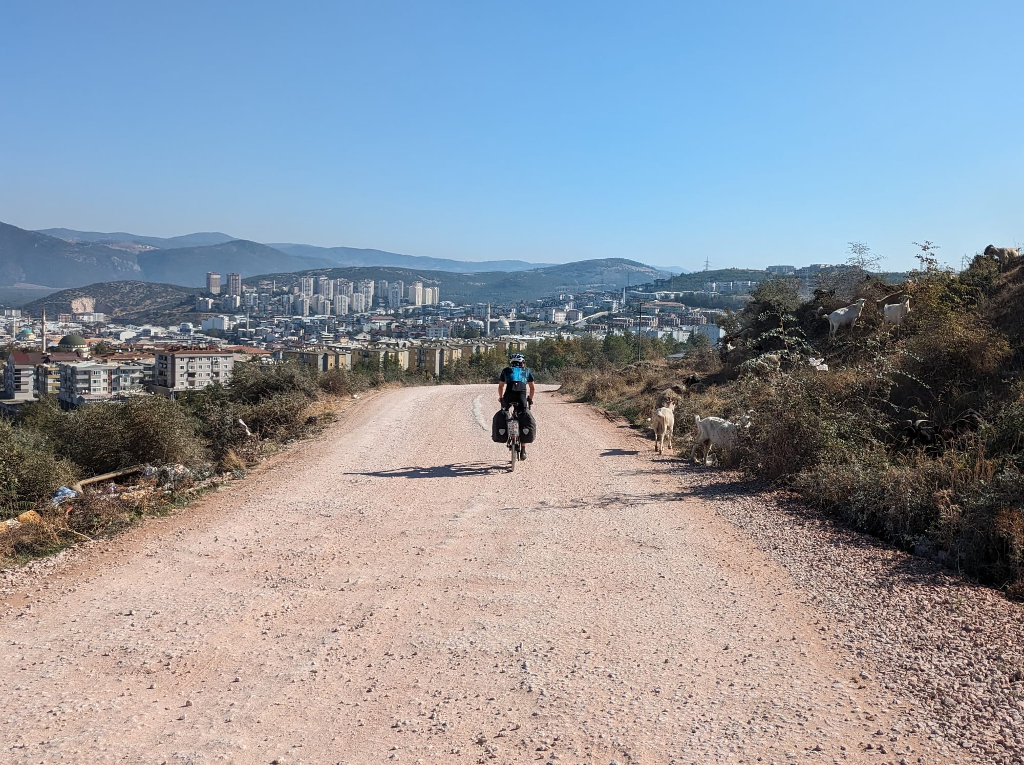 Day 19 - Ben's Search for Food Inspiration