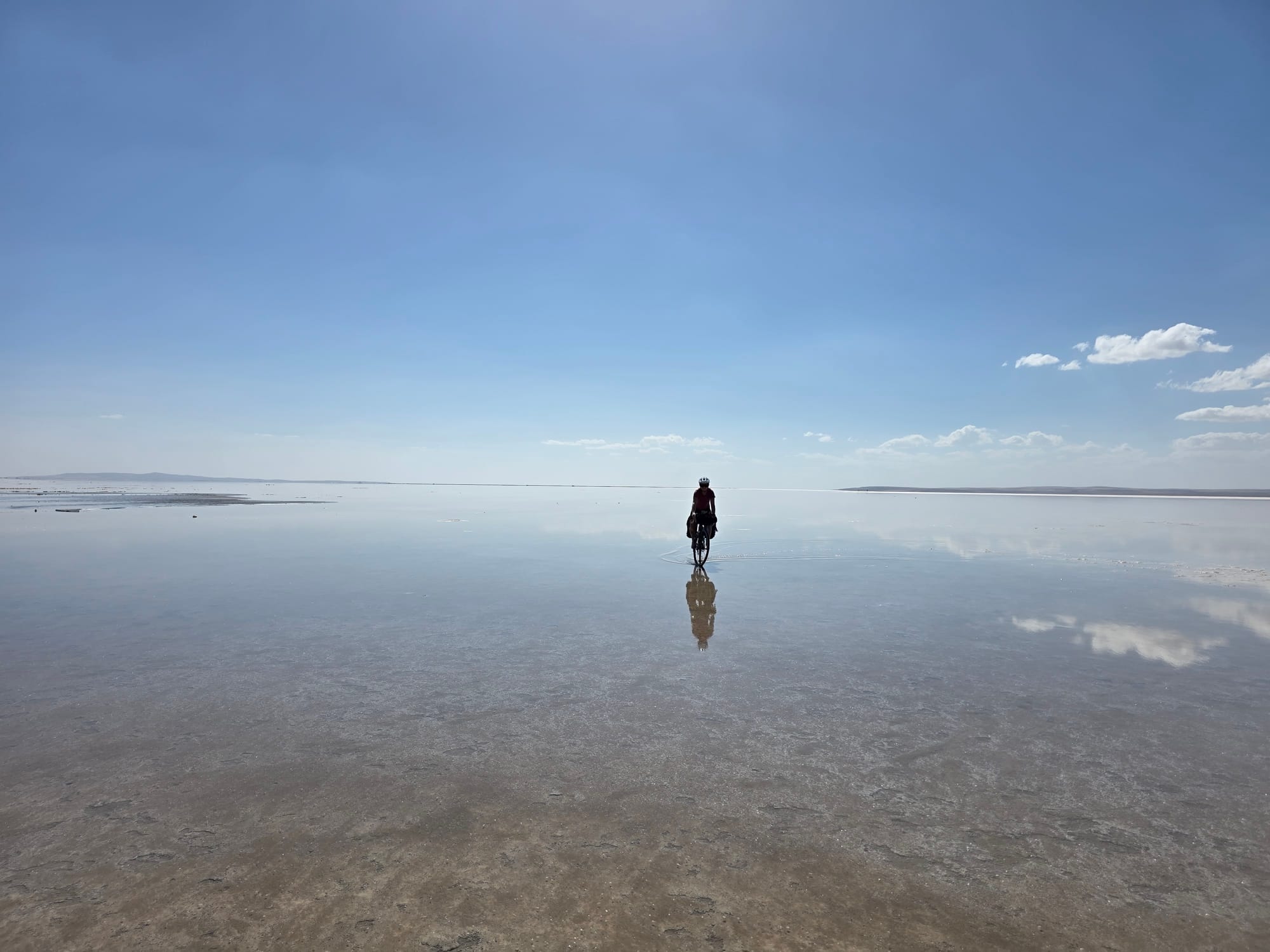 Day 22 - What happens when you scramble cheese?