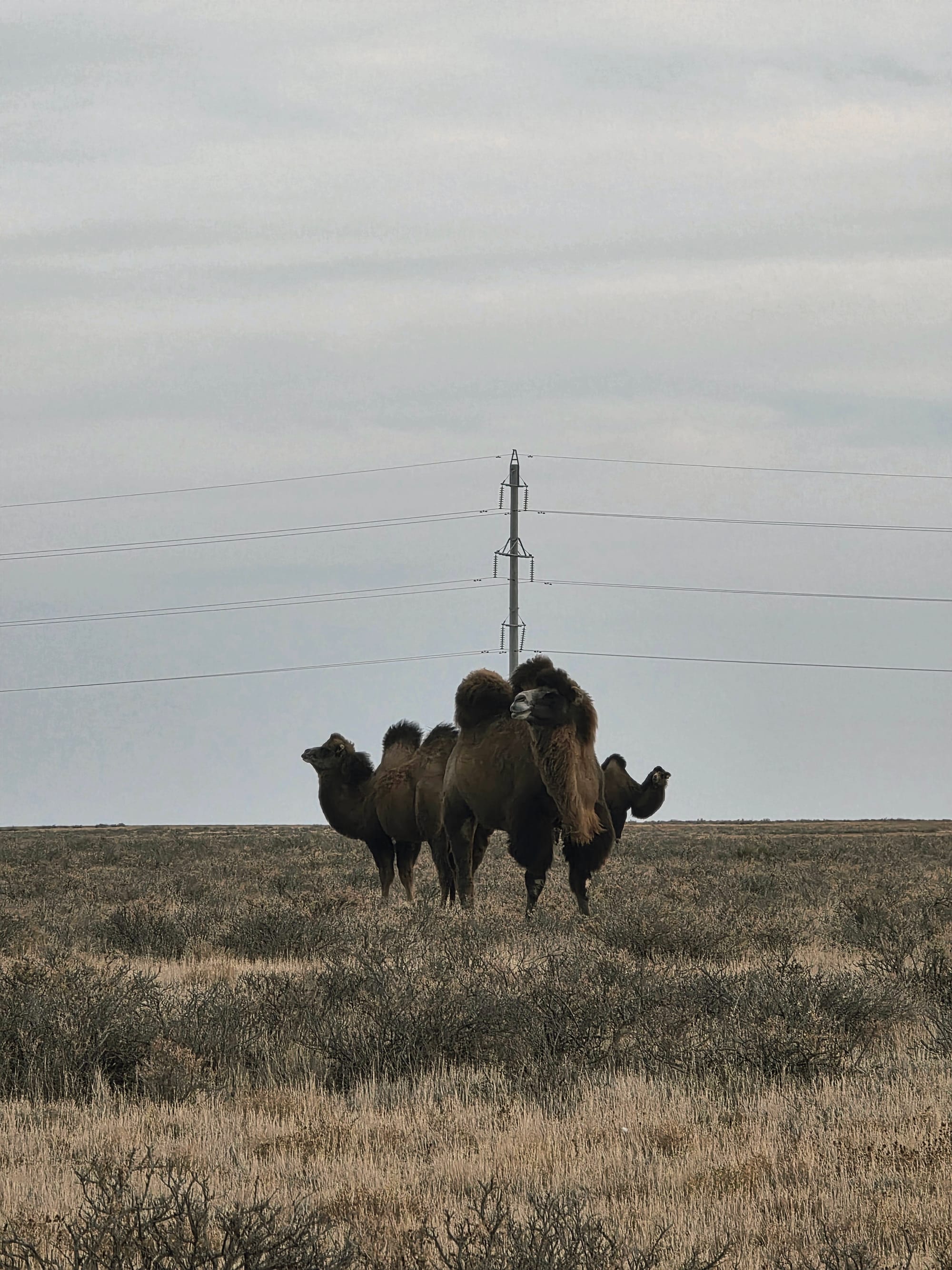 Day 44 - Escaping the Café Gravity