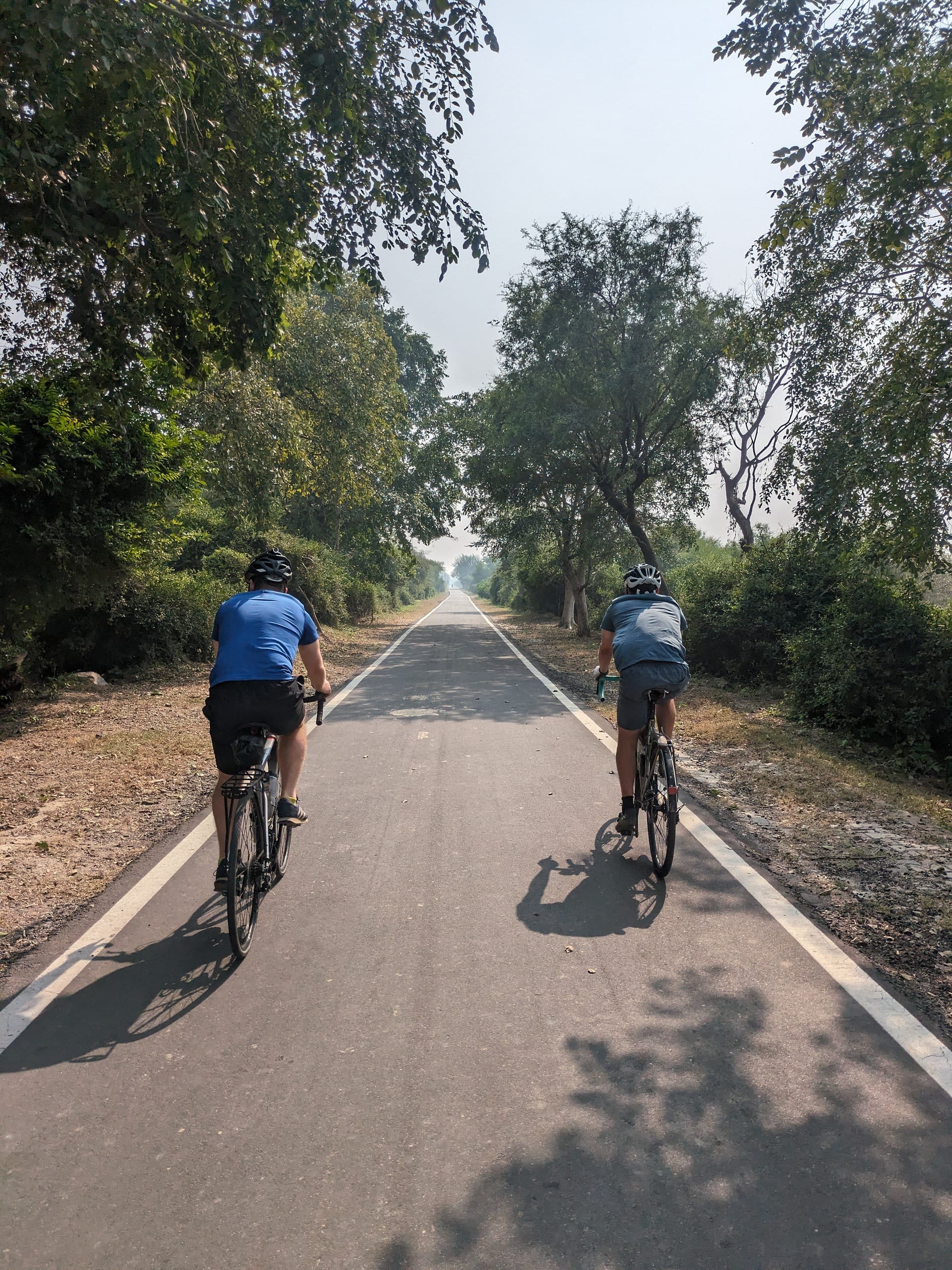 Day 60 - Bird Land and City Chaos!