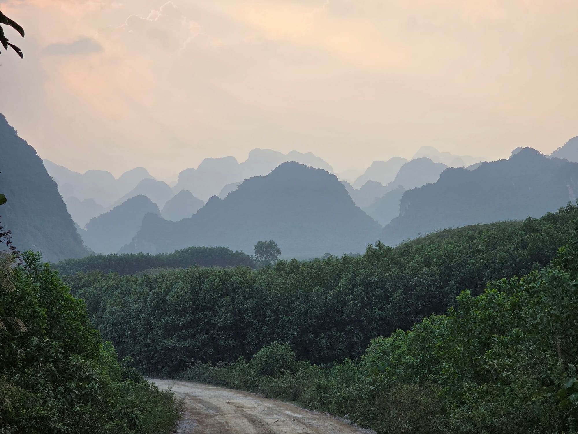 Day 87 - Playing Catch Up