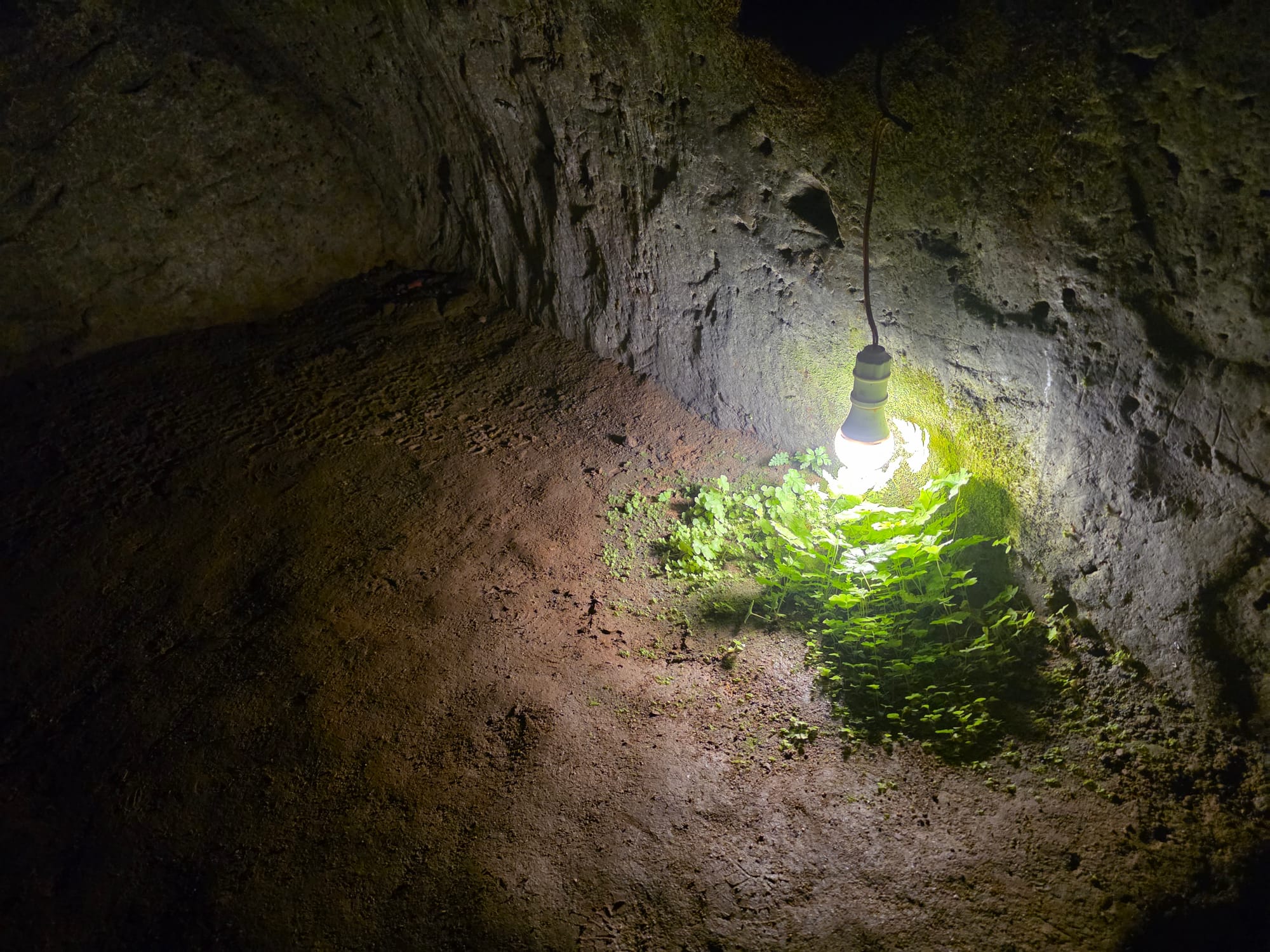 Day 89 - Time to Spare