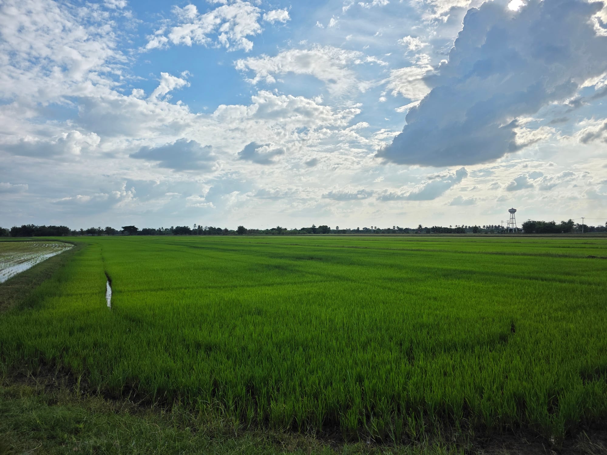 Day 92 - Towns beginning with "P"