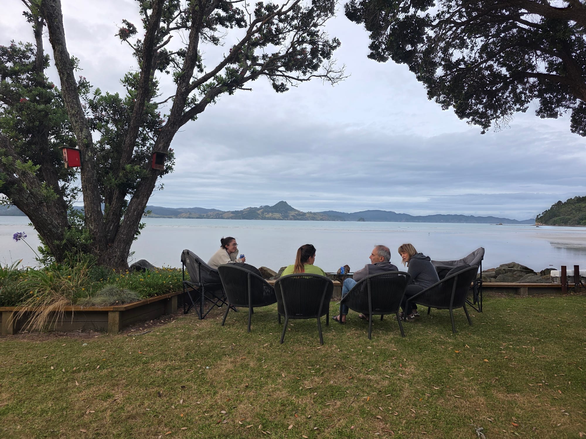 Christmas in New Zealand!!!