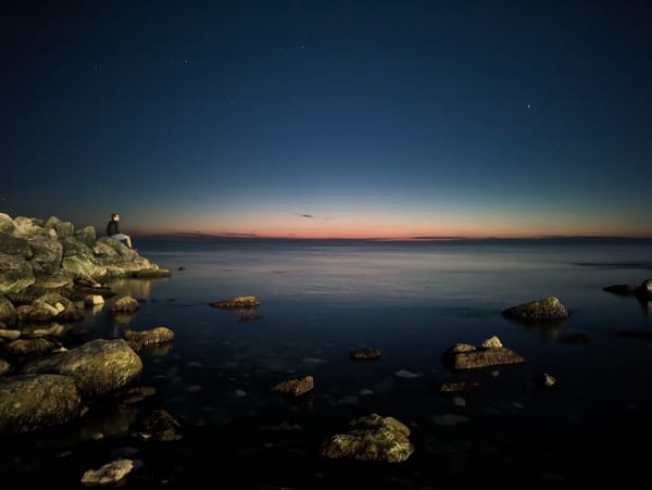 Day 36 - Shop til you drop!