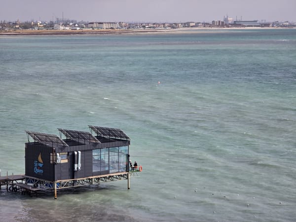 Day 37 - Bubble Tea Tourism