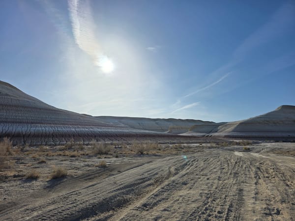 Day 40 - All the Beautiful Sights!