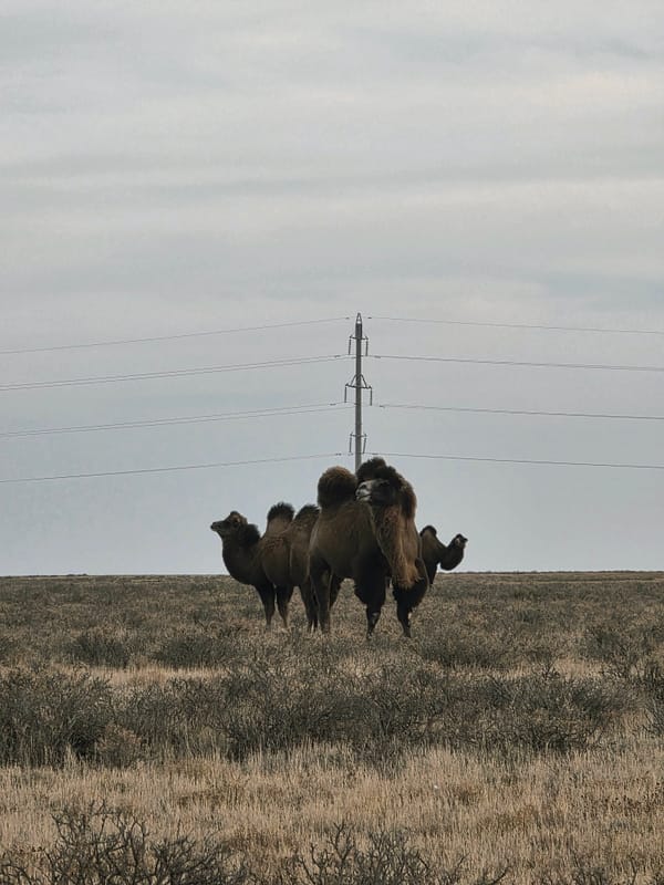 Day 44 - Escaping the Café Gravity