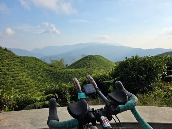 Day 78 - Nepalese Tea Land!