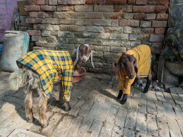 Day 66 - Touristing in Varanasi!