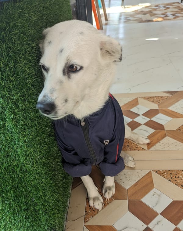 Day 73 - Down Up Down Up Down Up