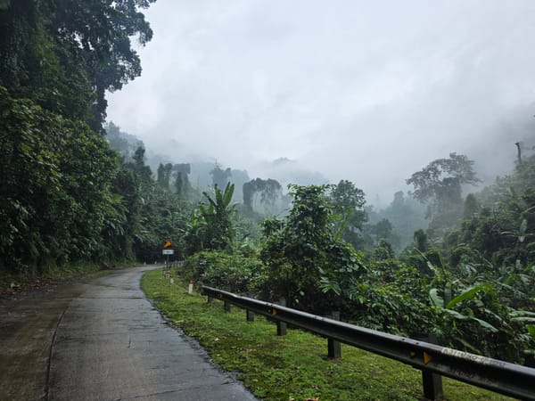 Day 88 - A whole new biome!