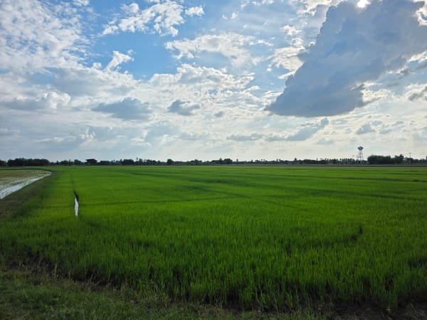 Day 92 - Towns beginning with "P"