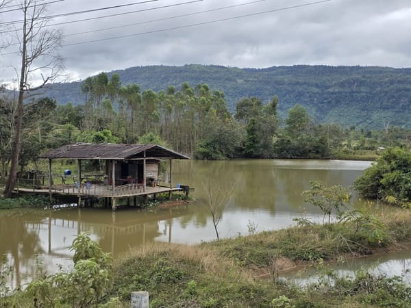 Day 90 - 1 Kilo of bananas and 3 rats please